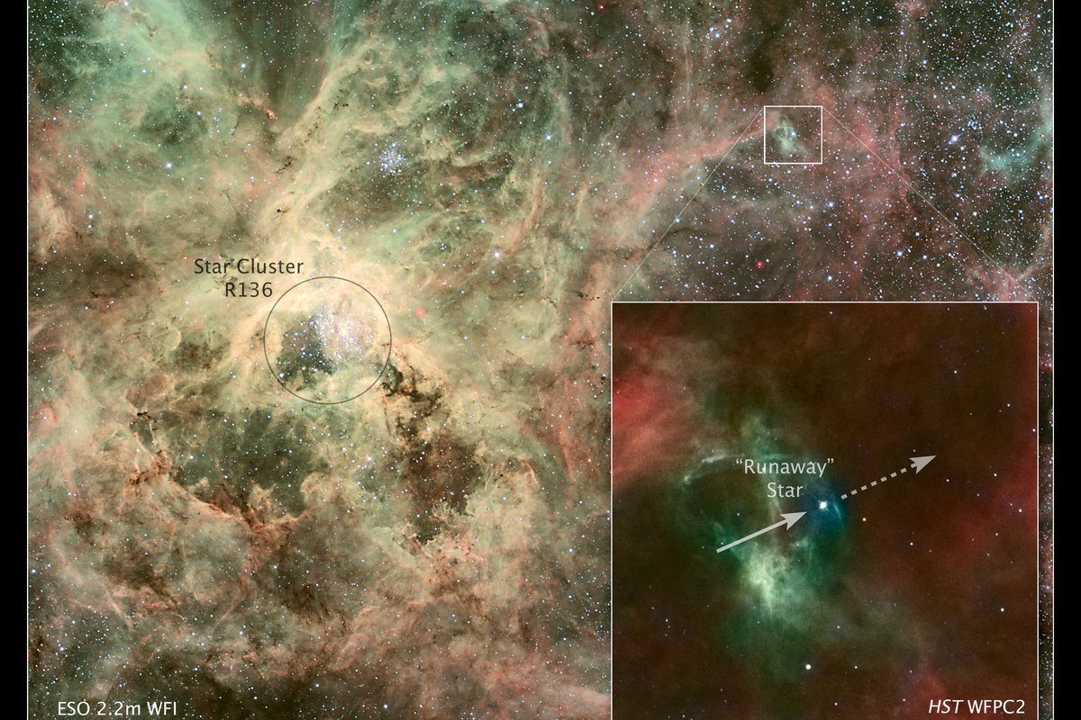 Carina Nebula Bok Globules - Hubble